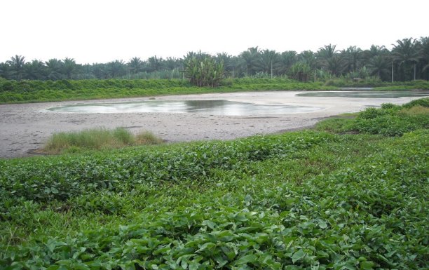 waste lagoon Malaysia