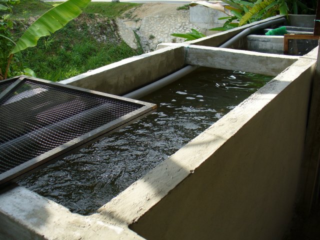 aquaculture