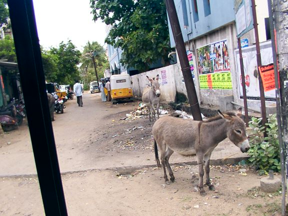 urban street photo shot near one of my client sites in India